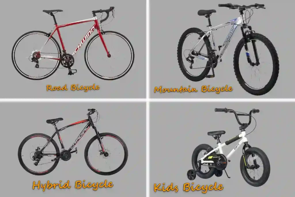 Bicycle Types and Sizing Differences, How to Choose the Right Bicycle Size